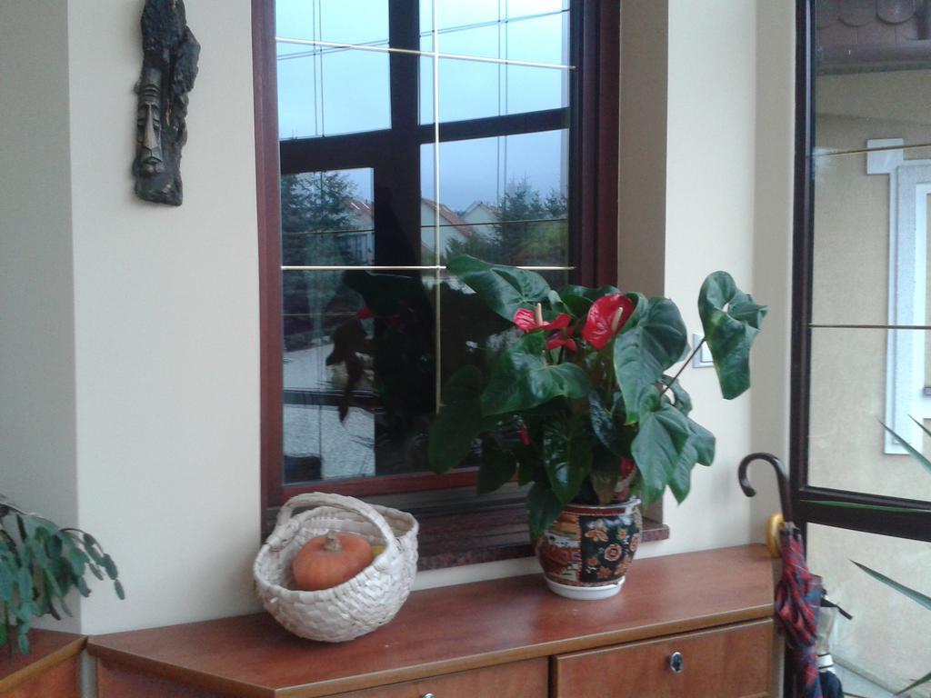 Drzonków Gosciniec Sloneczny酒店 外观 照片